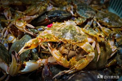 大连海鲜卖场排名前十(大连海鲜受日本辐射影响吗)插图23