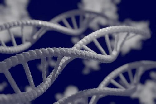 医学基因书籍排名前十(基因书籍推荐)插图