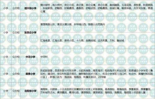 天津东丽区小学排名前十(天津市河东区小学划片)插图3
