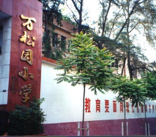 新港街道小学排名前十(新港街道中心小学的老师)插图6