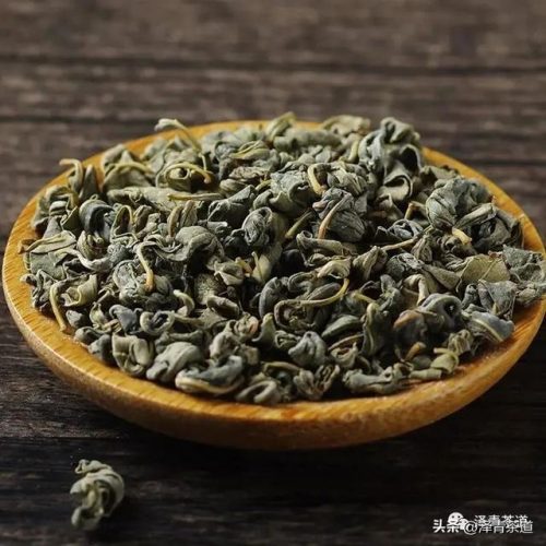 新疆茶树品种排名前十(茶树苗什么品种好)插图27