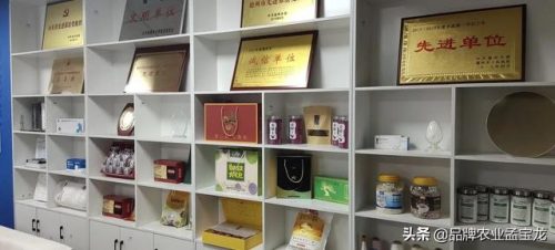 德州陵县酒店排名前十(陵县学校)插图9