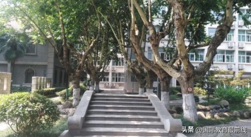 南京外籍学校排名前十(北京民办小学学校排名)插图6