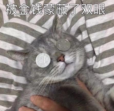 世界同服的手游排行榜(全球同服的策略手游有哪些)插图21