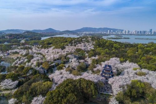 江苏省景点排行榜(江苏游玩十大景点)插图8