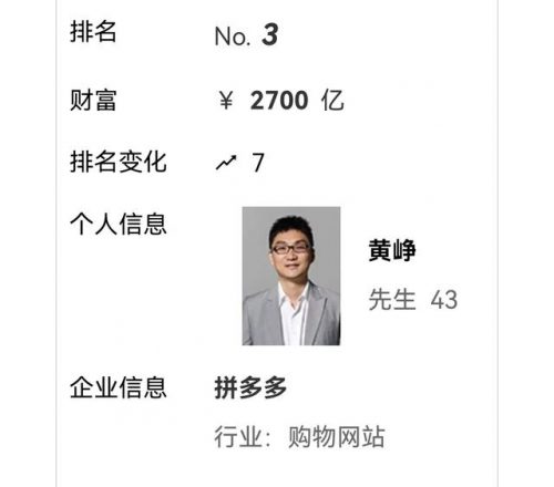 中国各个富豪排名前十(17中国十大女富豪)插图3
