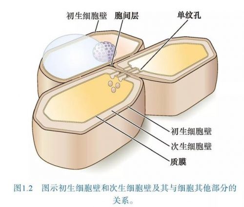 生物海外博士排名前十(全国排名前十的生物菌肥)插图11