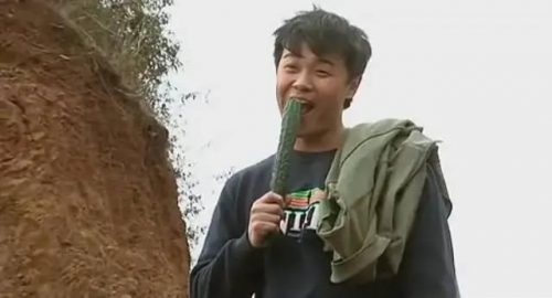 推荐好电视剧排行榜(十大最好看的电视剧排名)插图16