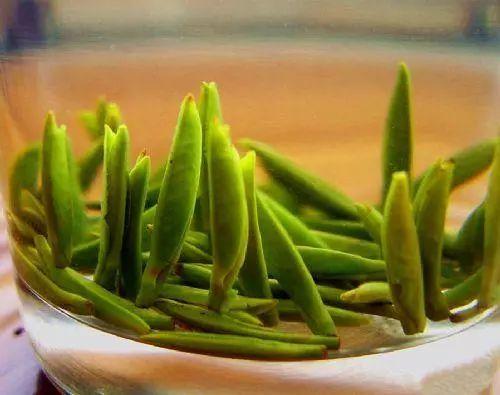 茶树排行榜(3200年古树茶1068万)插图24