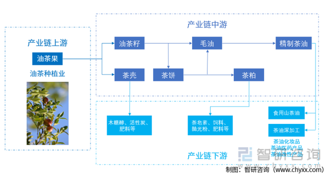 油茶压榨设备排名前十(元厨油茶籽油)插图4