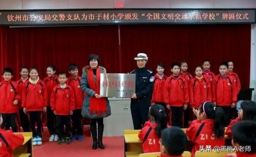 钦州河东小学排名前十(河东区所有小学排名)插图2