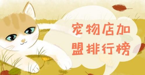 宠物店加盟店排行榜(萌宠乐园加盟需要多少钱)插图