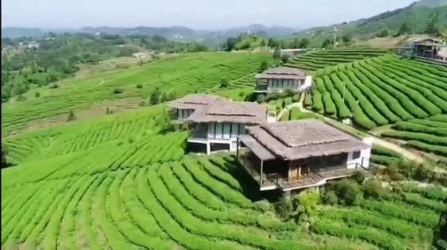 贵州农庄地产排名前十(贵州最大的房地产公司)插图19