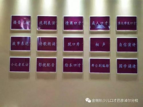 临河播音机构排名前十(临河四小)插图5