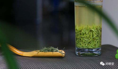 茶树排行榜(3200年古树茶1068万)插图12