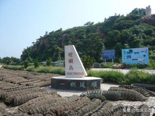 海参十大排行榜(长岛海参十大名牌)插图12