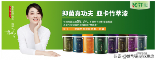 外墙涂料十品牌排行榜(中国十大油漆品牌排行榜)插图6