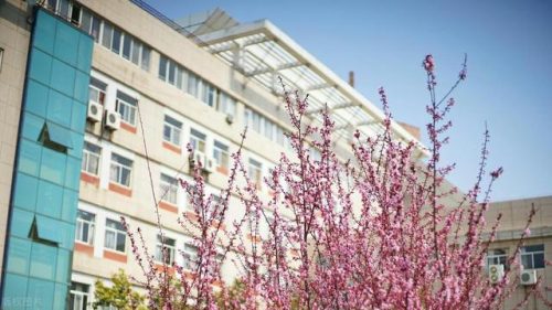 西安高校排名全国前十(西安专科学校排名榜)插图2