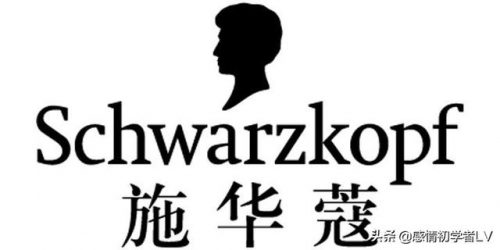 世界洗发露品牌排行榜(世界洗发水排名前十名)插图3