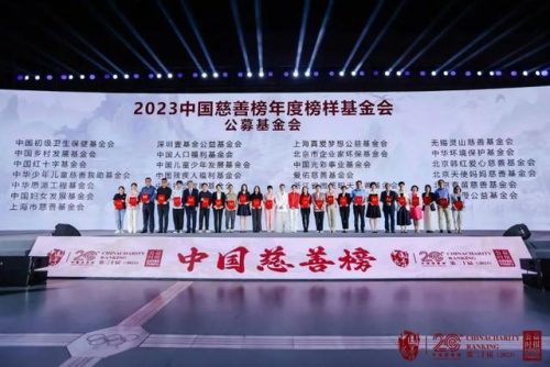 募捐排行榜(中国捐款排行榜个人)插图13