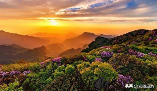 重庆的景区排名前十(重庆景区排名)插图