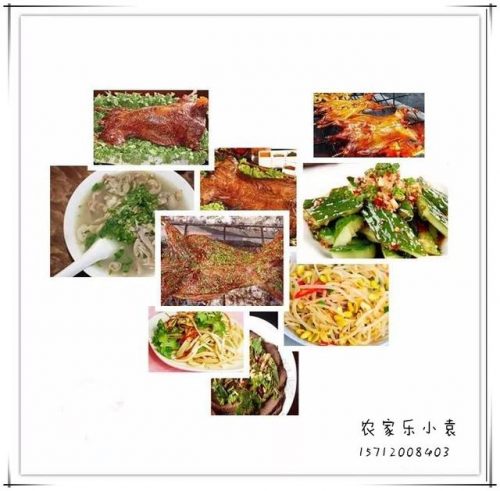 深圳龙岗烤全羊排名前十(深圳哪里有卖烤全羊架子的)插图3