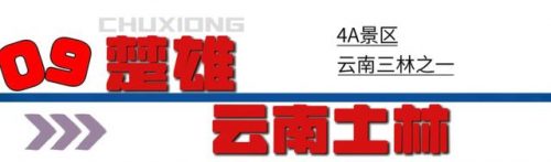 云南省旅游景点排行榜(云南最好的景点排名)插图18