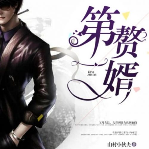 世界最好赘婿排名前十(赘婿完本了吗)插图6