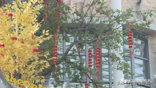 新生儿名字重名排行榜(新生儿取名指引重名查询)插图7