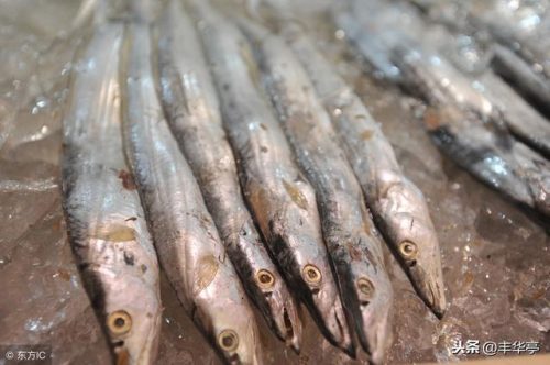 海鱼辅食排名前十(海鱼价格排名)插图1