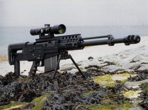 世界射手步枪排名前十(sr25和m110是一把枪吗)插图4