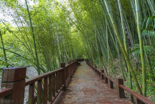 六盘水景点排行榜(贵州六盘水旅游景点攻略)插图27