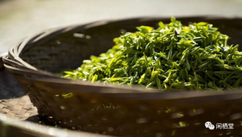 茶树排行榜(3200年古树茶1068万)插图2