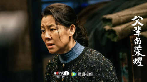 好看的家庭电视剧排行榜国内(家庭剧榜前十名电视剧)插图8