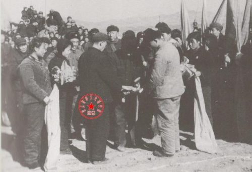 青岛最大矿山排名前十(青岛企业排名100强)插图10
