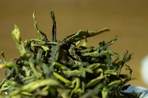 茶树排行榜(3200年古树茶1068万)插图17