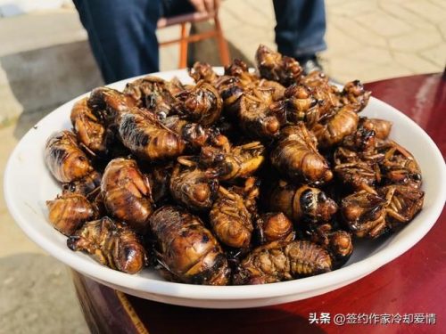 唐山烧鸭店排名前十(唐山凤凰园烤鸭店)插图6