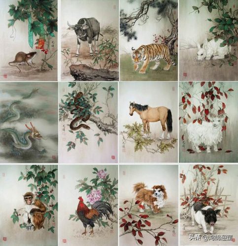 鼠年排行榜(仓鼠粮牌子排名)插图