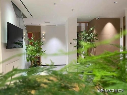 郑州艾灸加盟店排行榜(艾灸加盟店最好的品牌)插图3