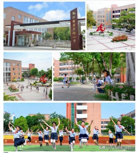 平川初中排名前十(平川中学)插图18