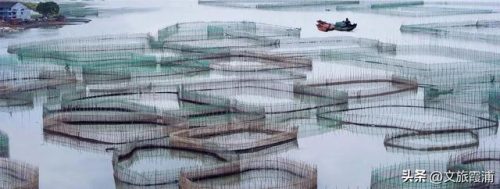 福建海鲜海港排名前十(海港大叔海鲜价格太高)插图36