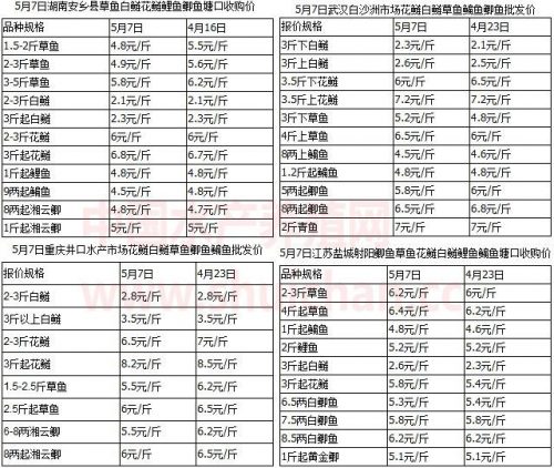 贵州网箱厂家排名前十(贵州货柜厂家)插图2