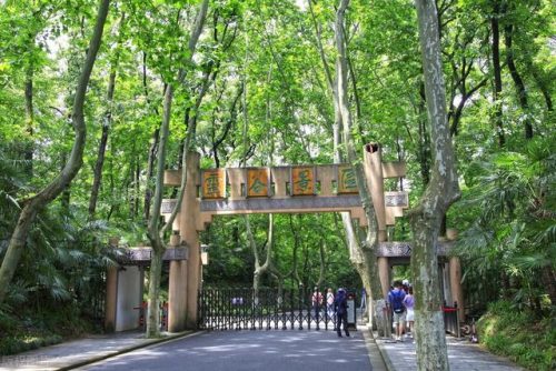 南京旅游景点排行榜(南京旅游需要提前预约的景点)插图11