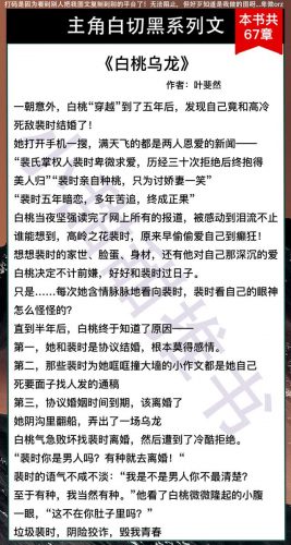 主角腹黑小说排行榜(好看的腹黑小说推荐超经典)插图1