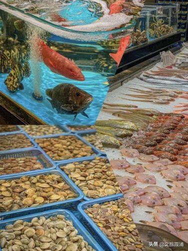 福建海鲜海港排名前十(海港大叔海鲜价格太高)插图43
