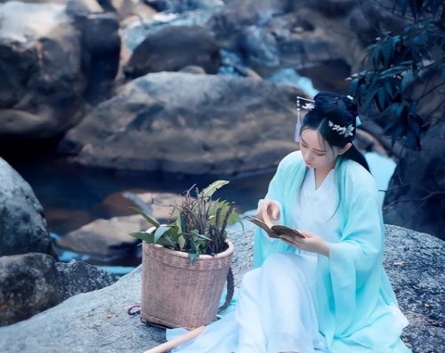 农家女重生小说排行榜(重生农女好种田 小说)插图