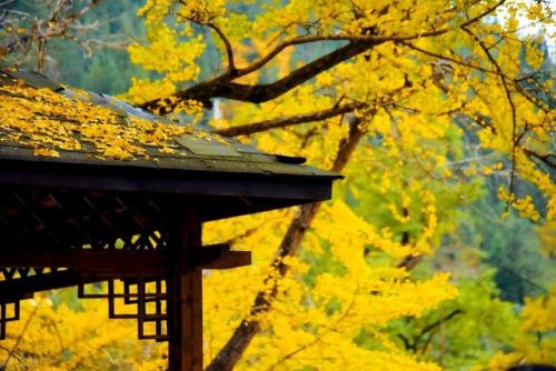 六盘水景点排行榜(贵州六盘水旅游景点攻略)插图11