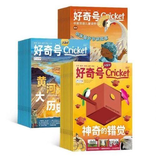 小学读物杂志排名前十(小学六年级课外书推荐)插图4
