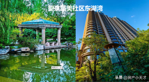 南湖独栋楼盘排名前十(长沙独栋别墅楼盘排名)插图21