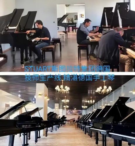 世界十大钢琴品牌排行榜(国内一线品牌钢琴)插图4